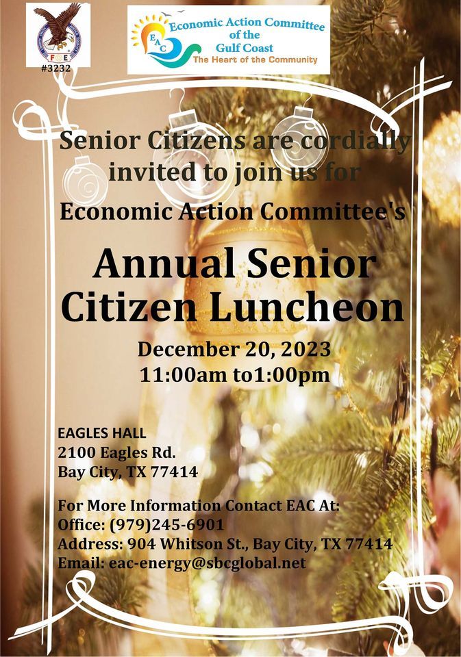 Senior Citizen Christmas Luncheon