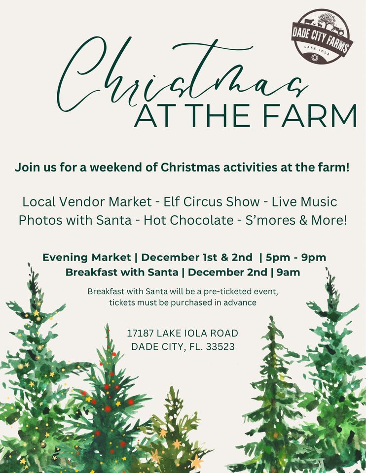 Christmas Evening Market Dade City Farms December 1, 2023