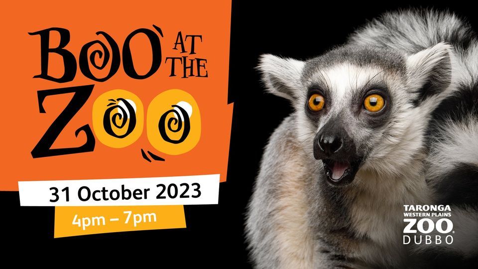 Boo at the Zoo Taronga Western Plains Zoo, Dubbo, NS October 31, 2023