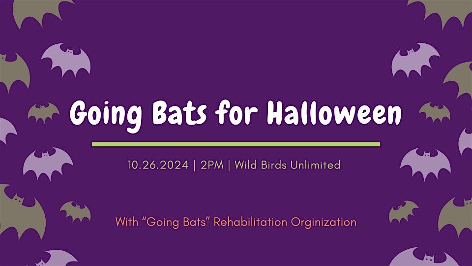 Going Bats for Halloween