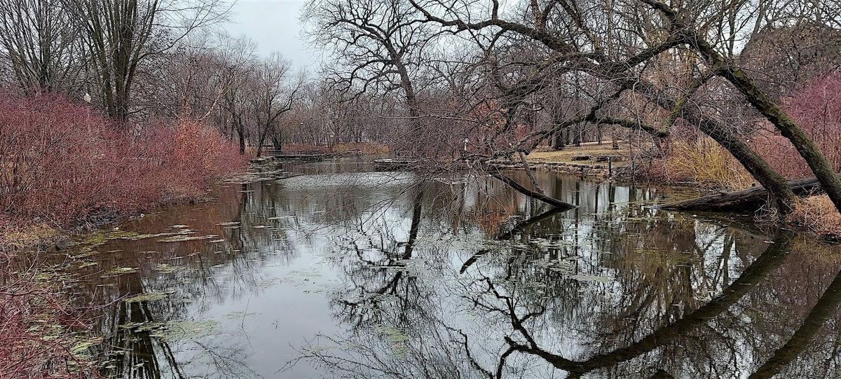 Bohemian Cemetery Halloween hike