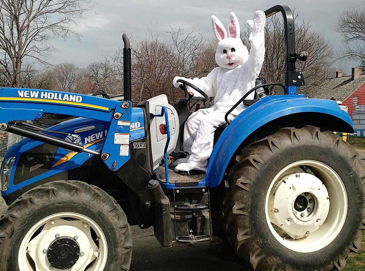 Red Horse Farm Easter Egg Hunt April 1st Red Horse Farm, Hanson, MA