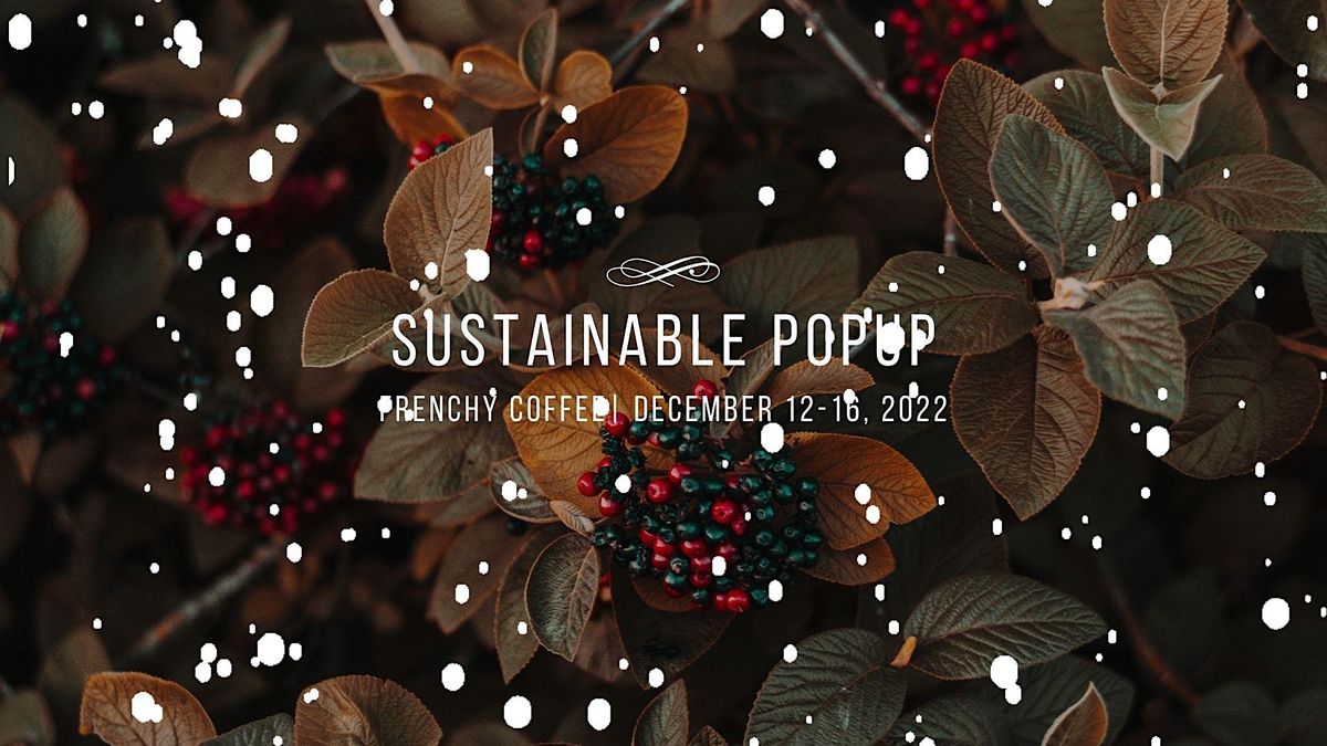 Sustainable PoPuP For Christmas