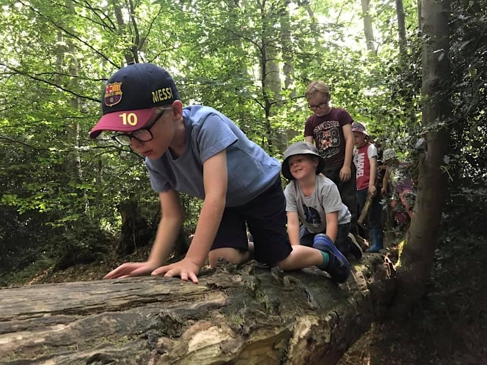 FREE HAF Easter Holiday Woodland Day for adults & children aged 411yrs Brandy Hole Copse Wood