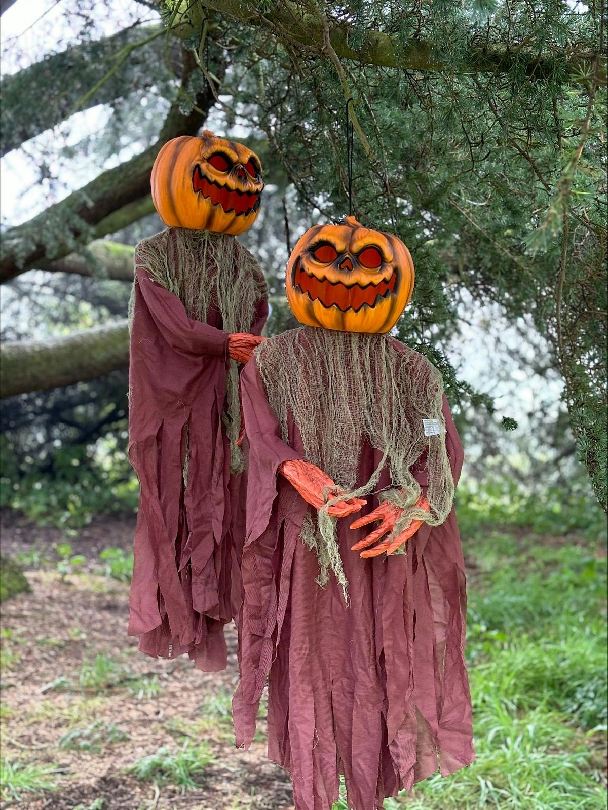 Hill of Tarvit's Terrifying Pumpkin Trail