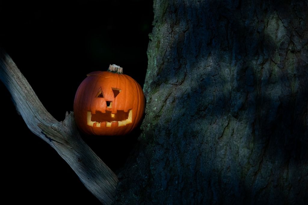 Creatures of the Night: Halloween at Strumpshaw Fen