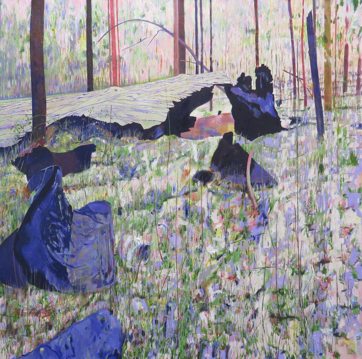 Watersheds Richard Blundell Floor Talk Redland Art Gallery, Capalaba