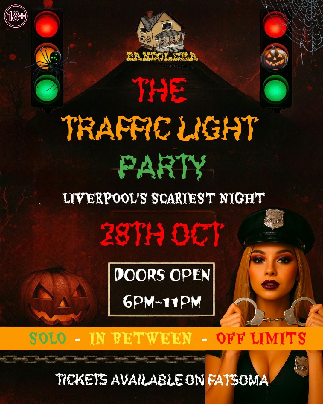 THE TRAFFIC LIGHT PARTY \ud83d\udea6