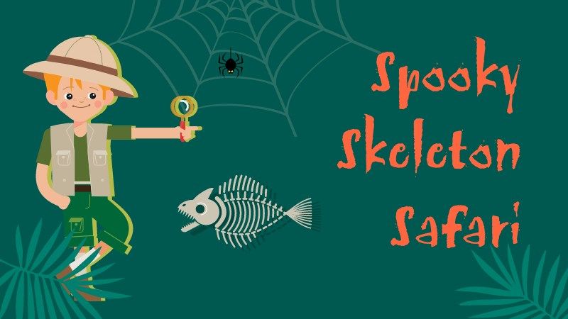 Spooky Skeleton Safari - October Half Term