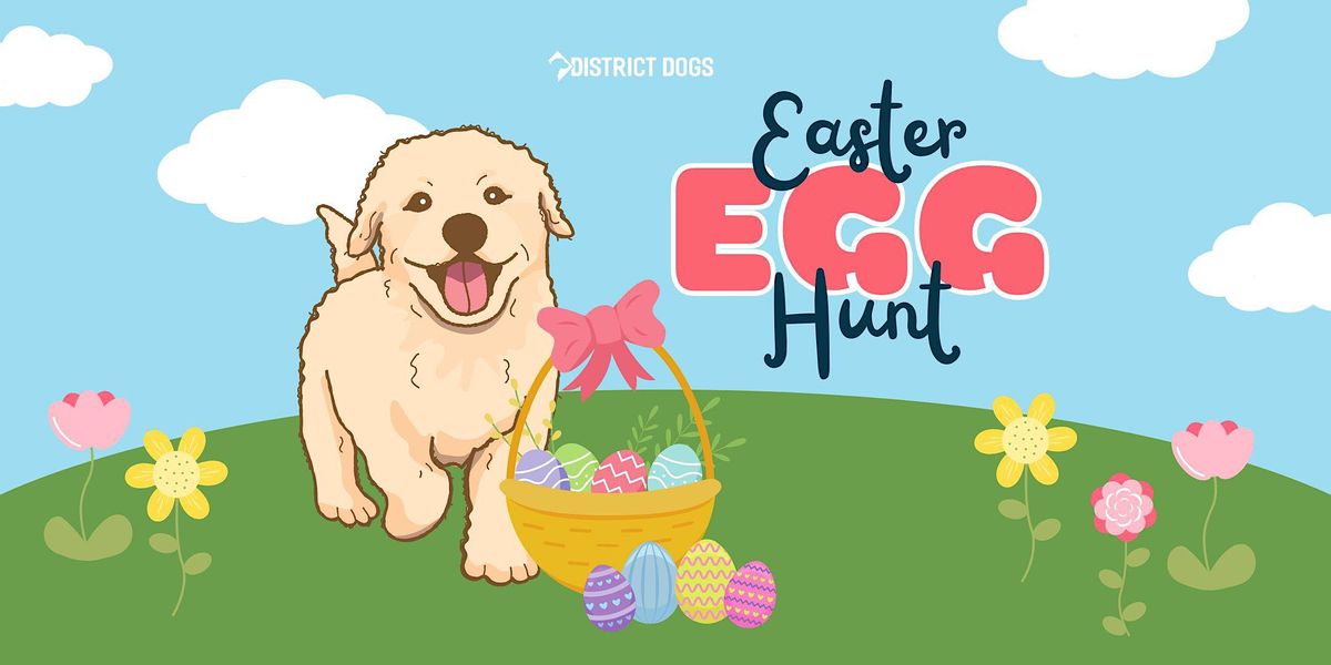 Doggy Easter Egg Hunt