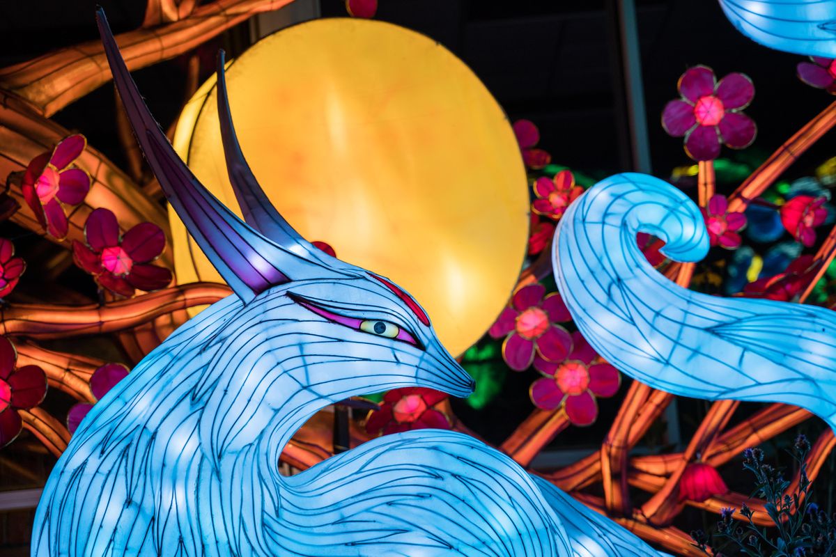 GloWILDA Larger Than Light Lantern Festival Little Rock Zoo