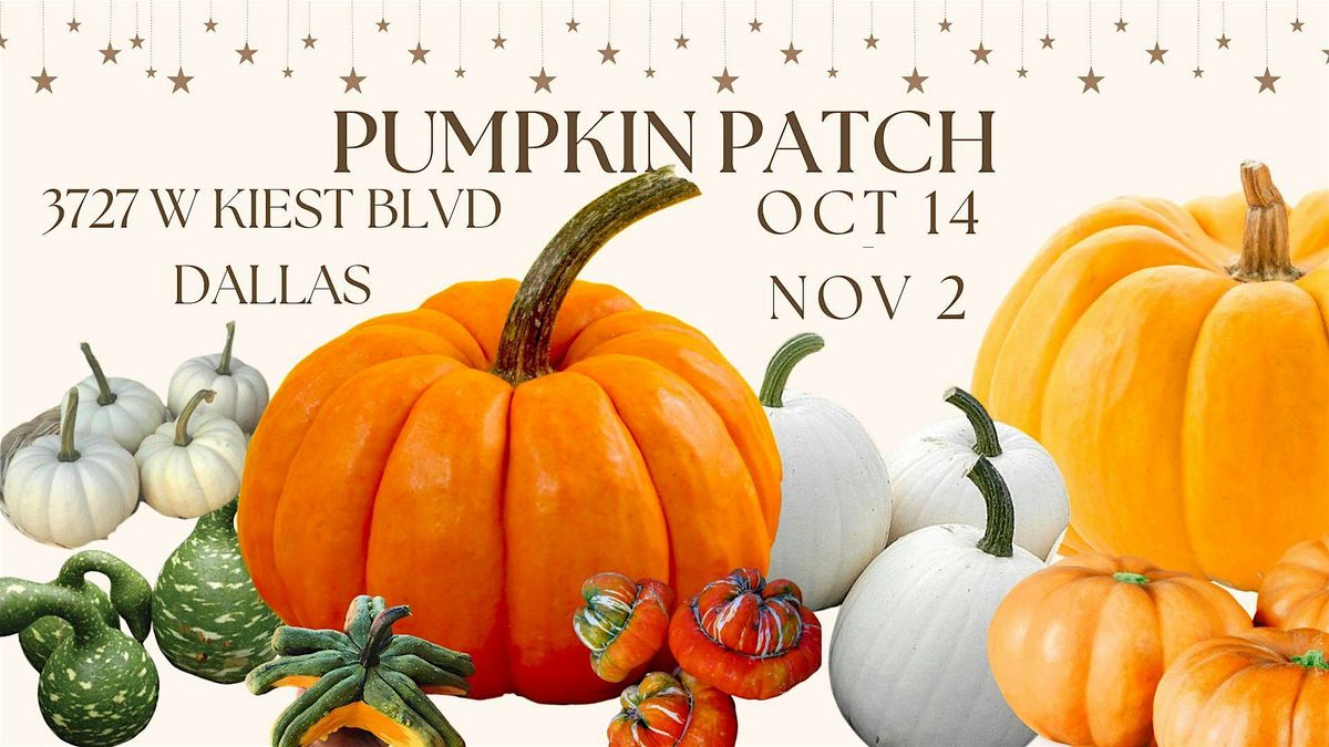 Pumpkin Patch