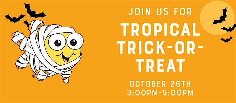 Goldfish Swim School North Scottsdale Tropical Trick-or-Treat!