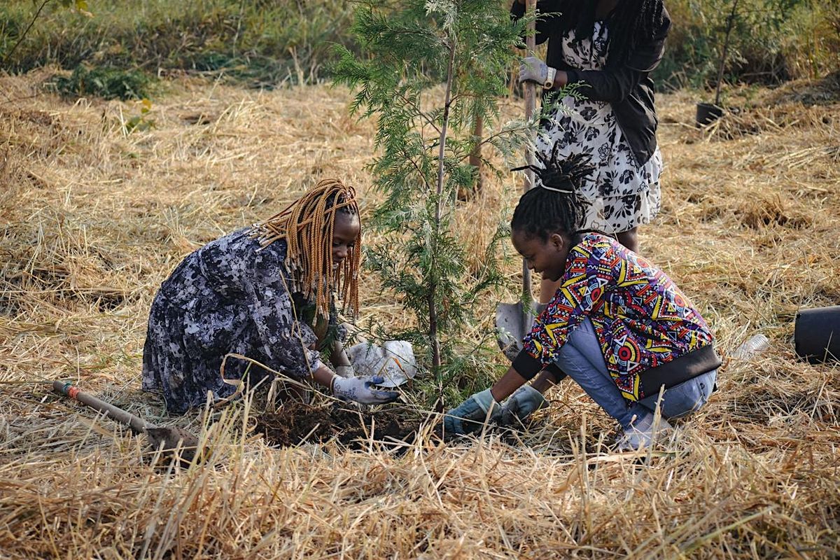 Everett Community Planting (North and South Wiggums)