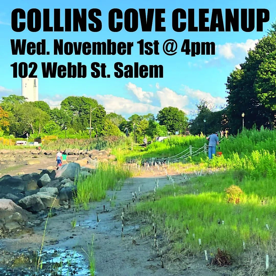 Collins Cove Salem MA Beach Cleanup 102 b St, Salem, MA November