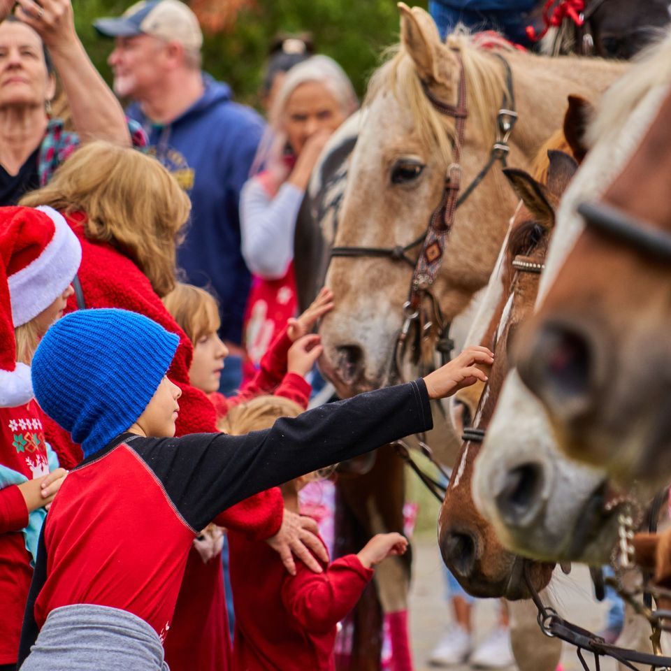 22nd Annual Gruene Pony Express Ride | Gruene Historic District, Canyon ...