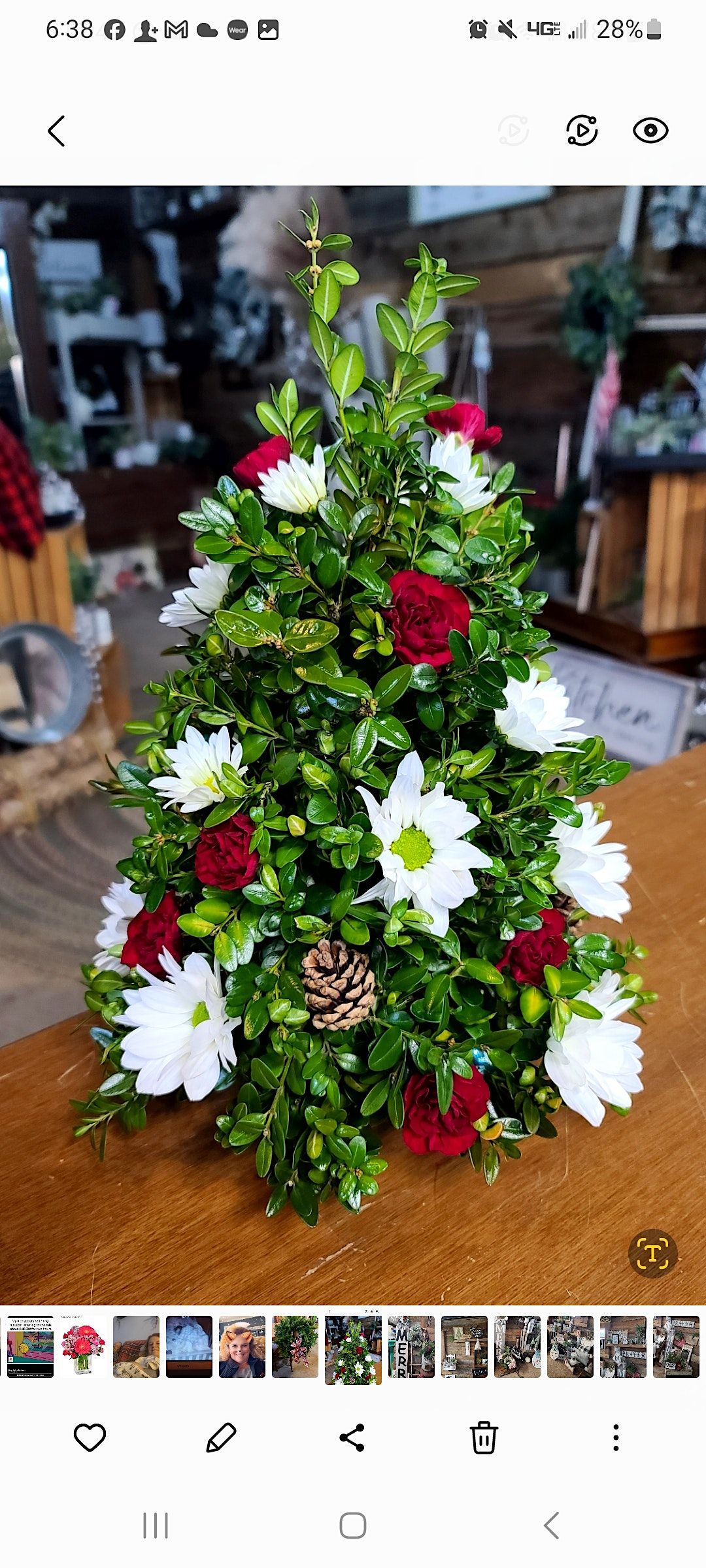 Fresh Boxwood Christmas Tree Chatterbox Creations Bauer Marketplace