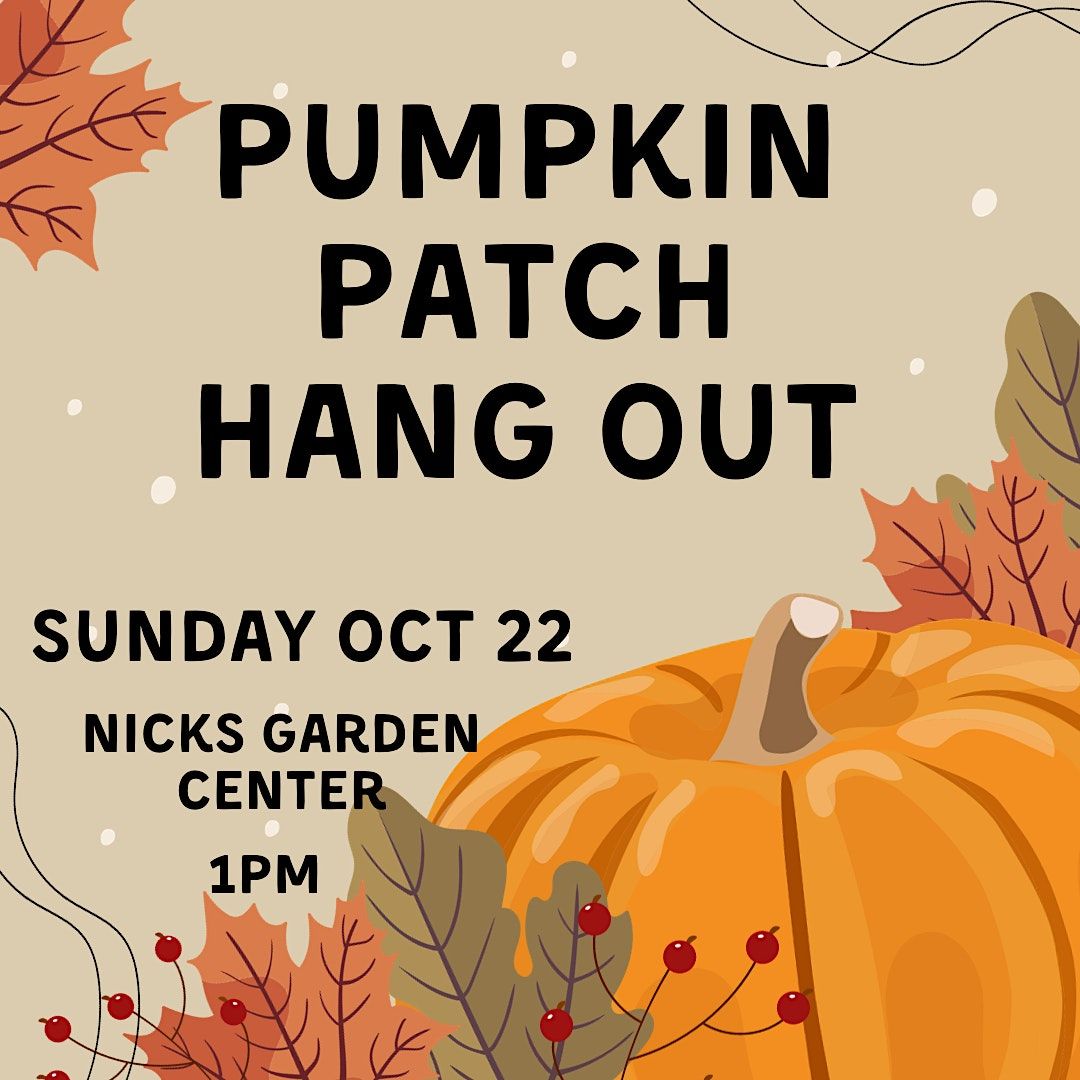 Pumpkin Patch Hang Out Nick's Garden Center & Farm Market, Aurora, CO