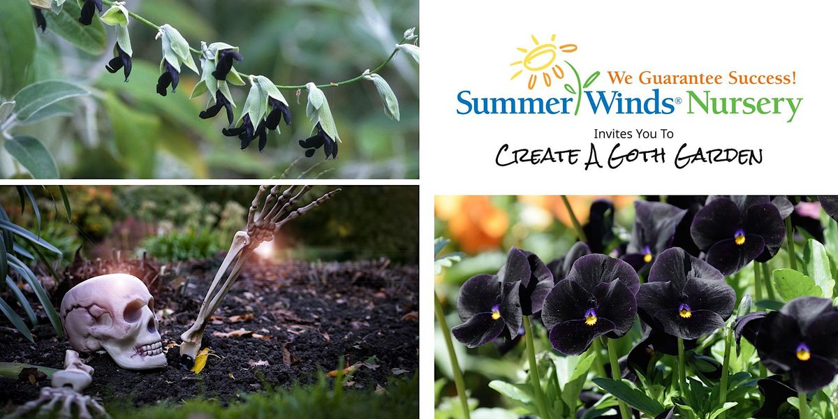 Create A Goth Garden This Halloween Dublin SummerWinds Nursery