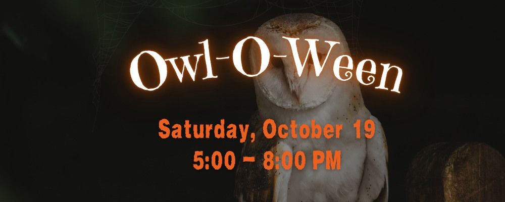 Owl-O-Ween