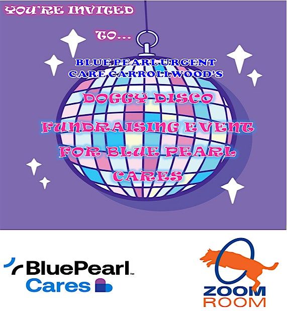 Doggy Disco Fundraising Event for Blue Pearl Cares