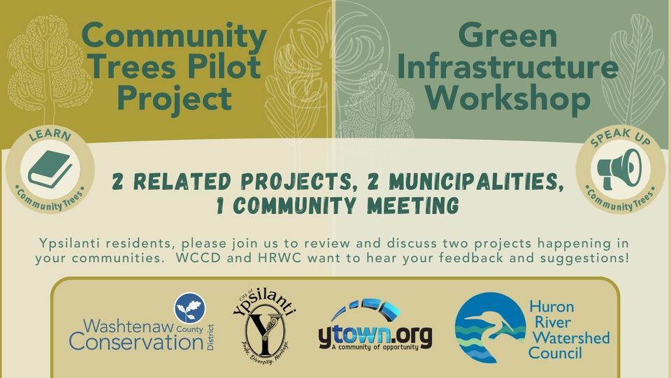 Community Trees Pilot Project and Green Infrastructure Review and