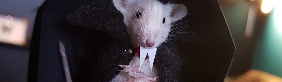 Halloween Mouse Taxidermy Workshop!