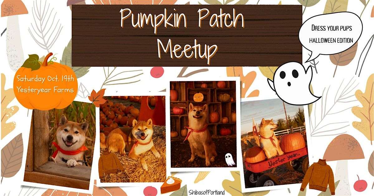 Shiba Pumpkin Patch Meetup