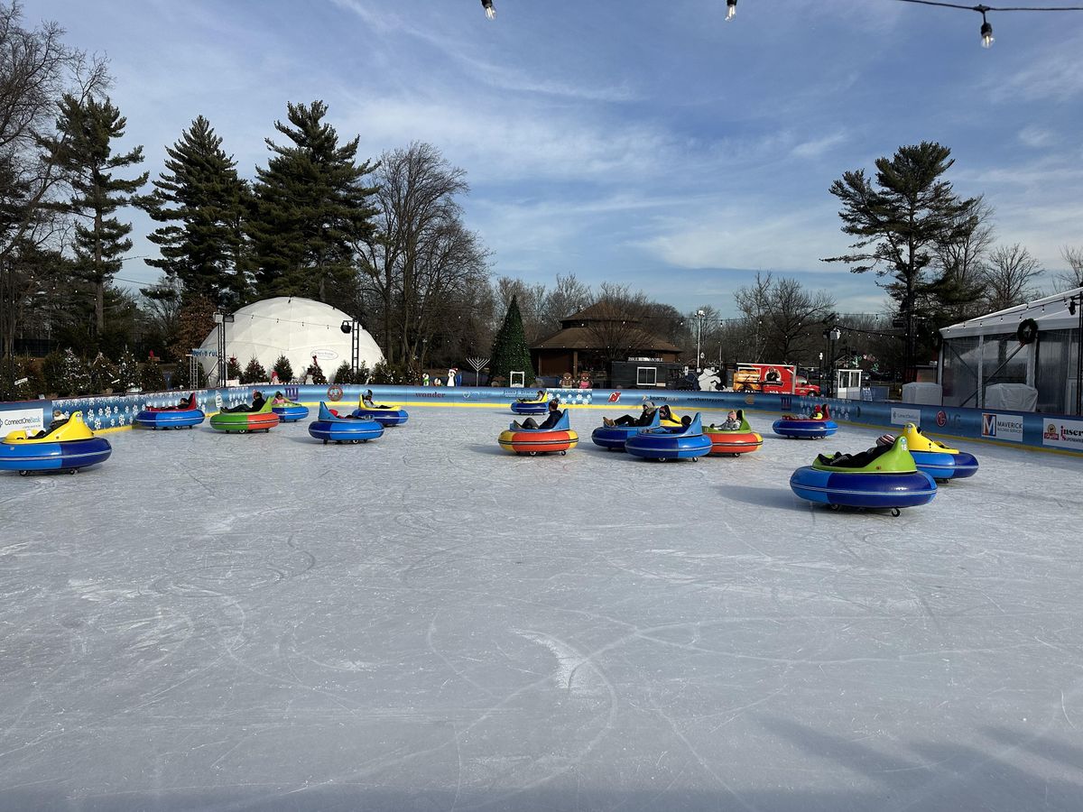 Ice Bumper Cars The Rink at Winter Wonderland 2023/2024 Van Saun