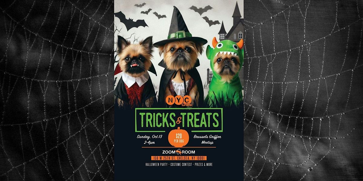 NYCGriffs Presents: Tricks & Treats a Brussels Griffon Halloween Meet Up