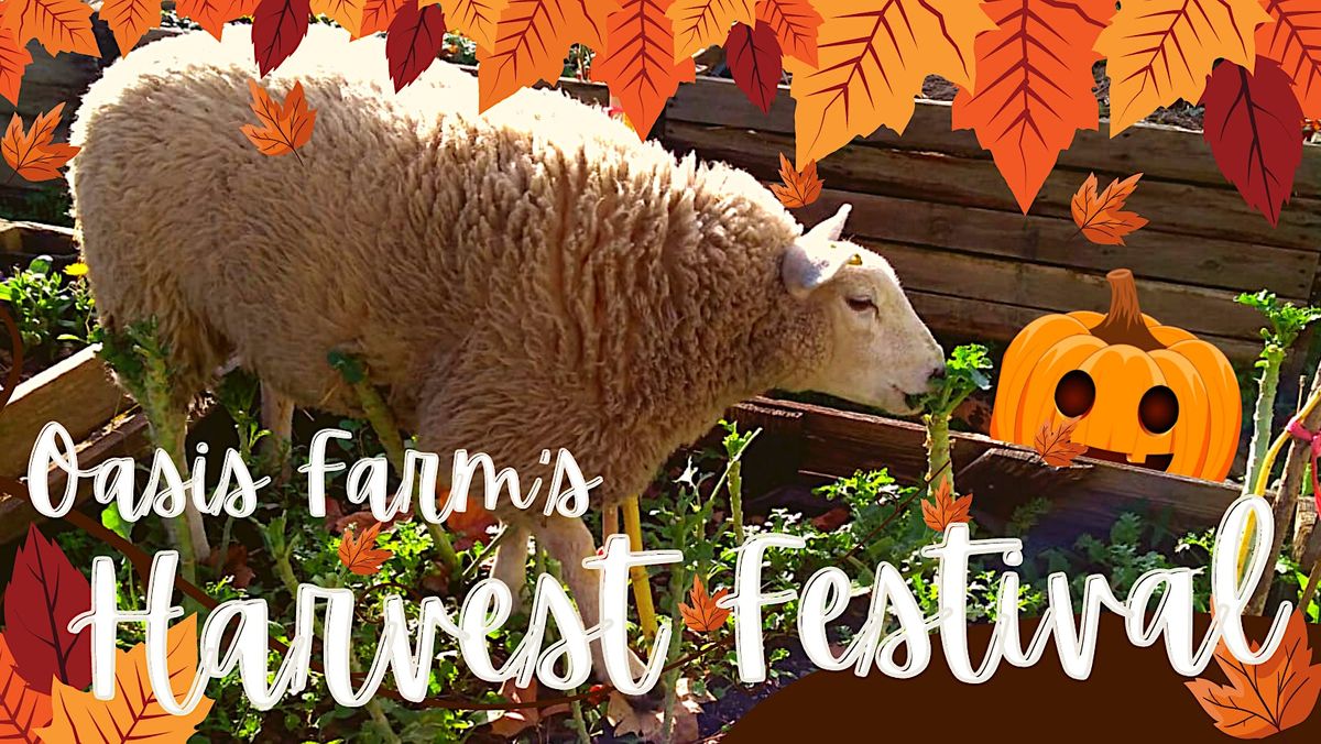 Harvest Festival at Oasis Farm Waterloo