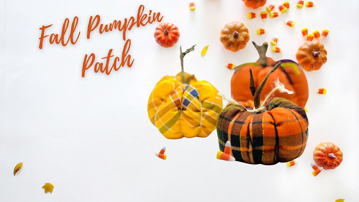 Festive Fall Pumpkin Patch! Wimberley Village Library October 26, 2023