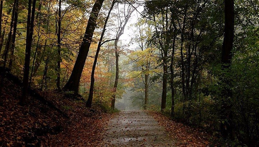 Frick Park Ranger Guided Hiking Series