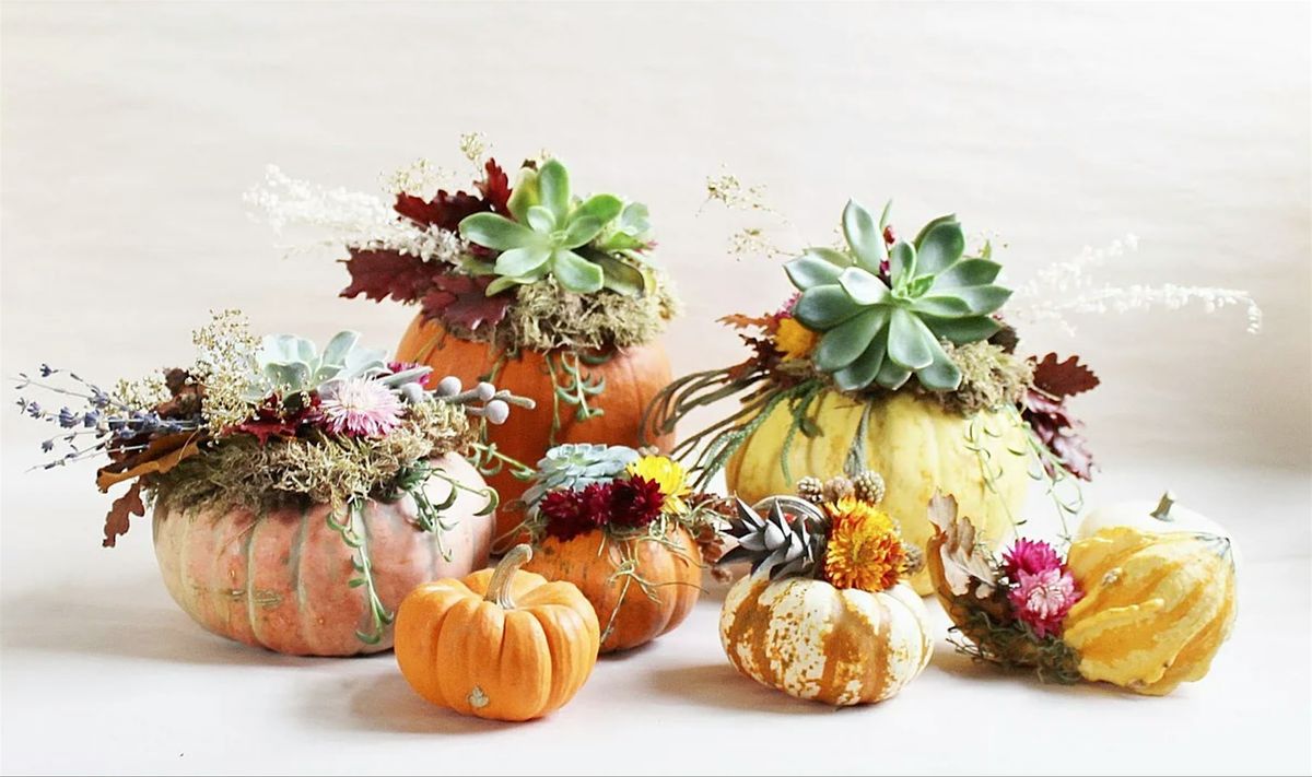 Succulent Pumpkin Centerpieces Workshop