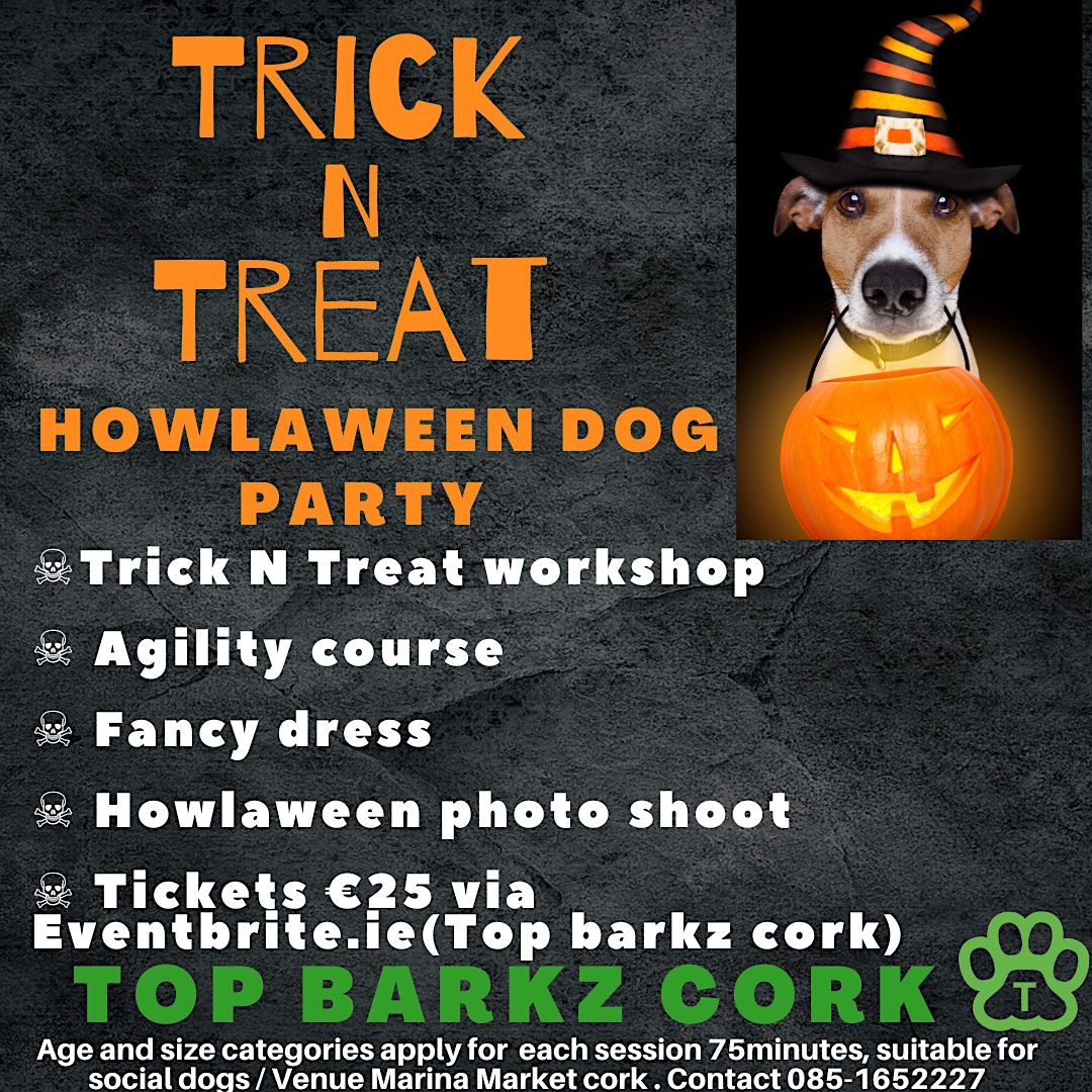 Trick N Treat Dog Halloween party adult dogs Marina Market, Cork, CK