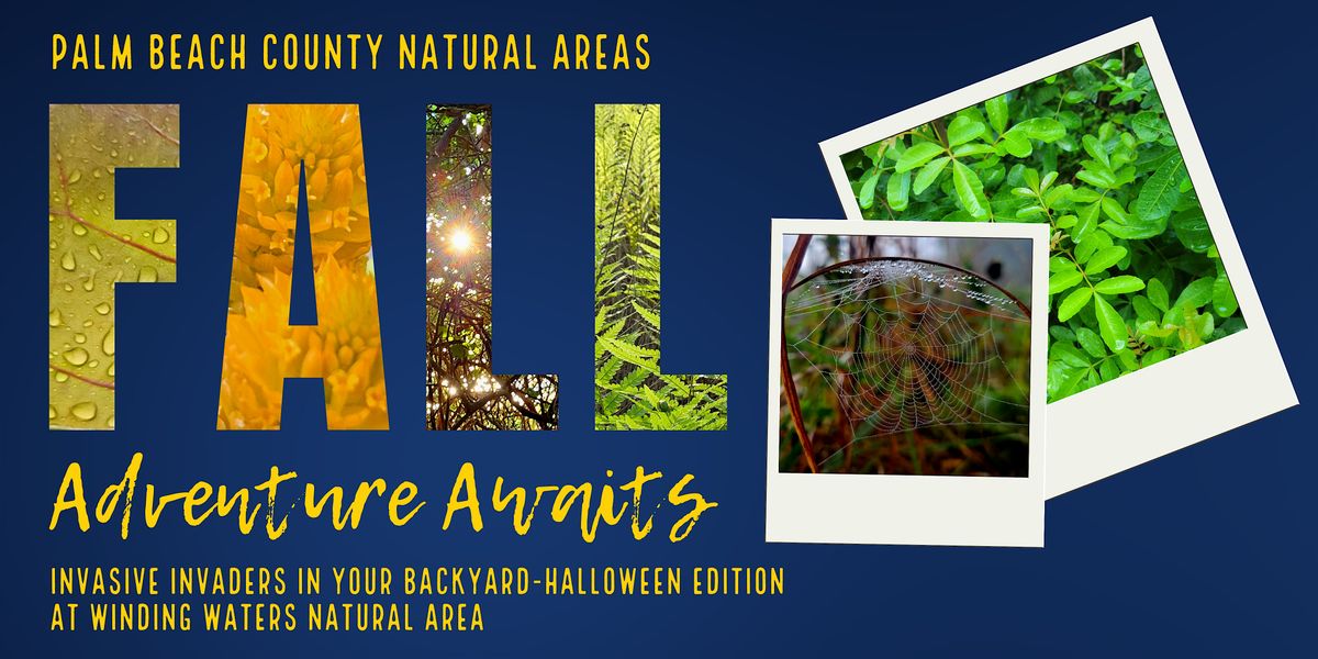 Adventure Awaits - Invasive Invaders-Halloween Edition  @ Winding Waters