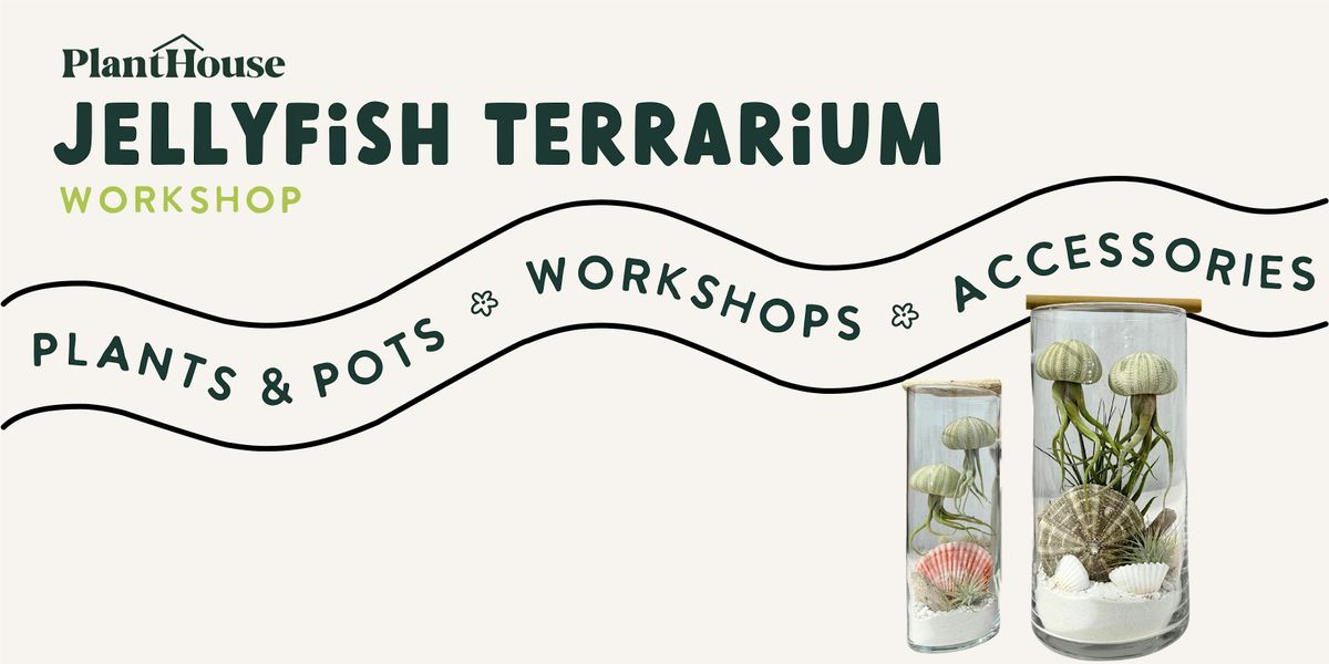 Jellyfish Terrarium Workshop