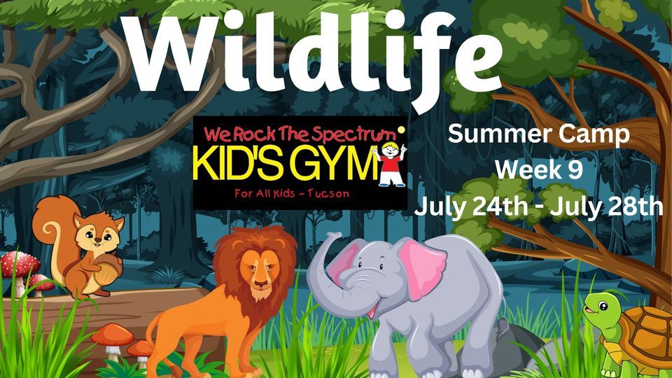 Summer Camp Week 9 Wildlife