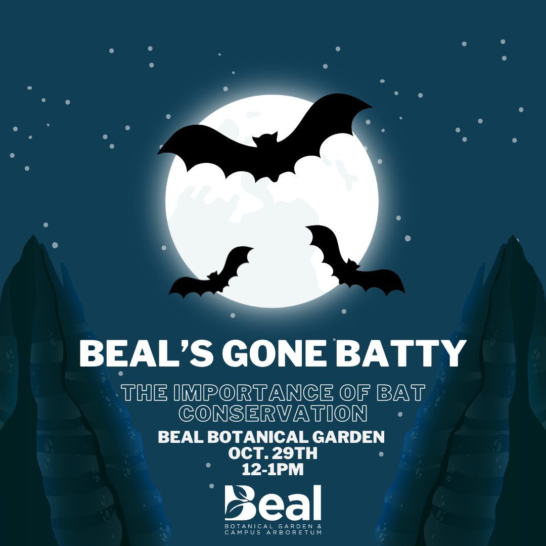 Fall Drop-In Activity: Beal's Gone Batty