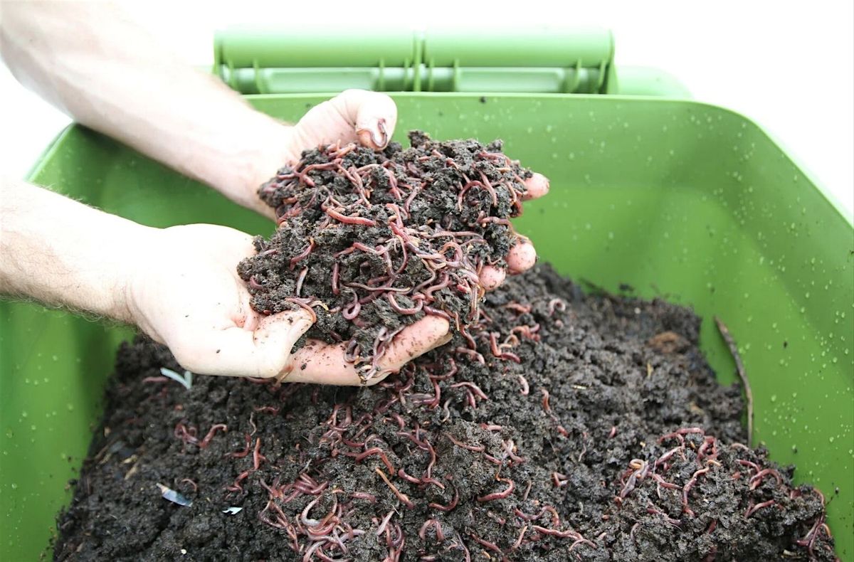 Creepy Crawlers! Worm Compost Bin Workshop