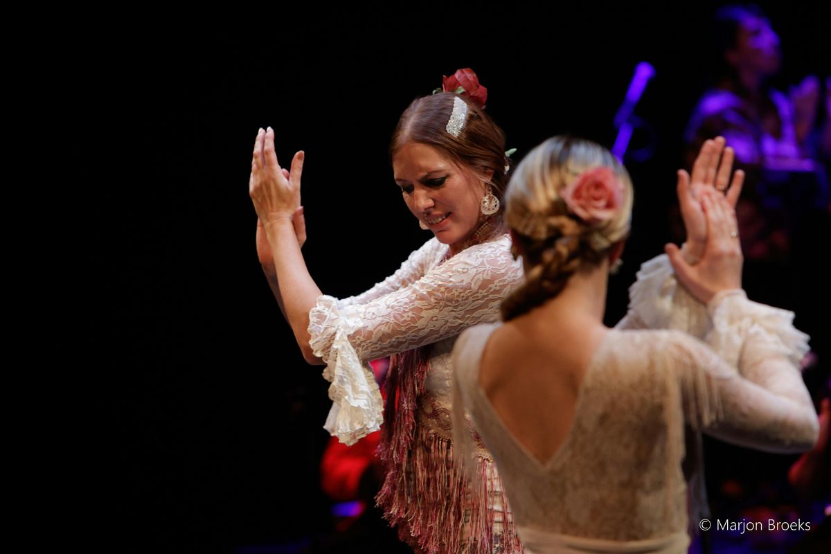 Zambomba! A Christmas Flamenco Fiesta!