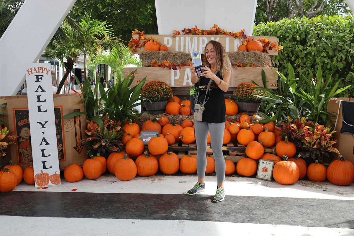 Lincoln Road Pumpkin Patch x Plant Daddy