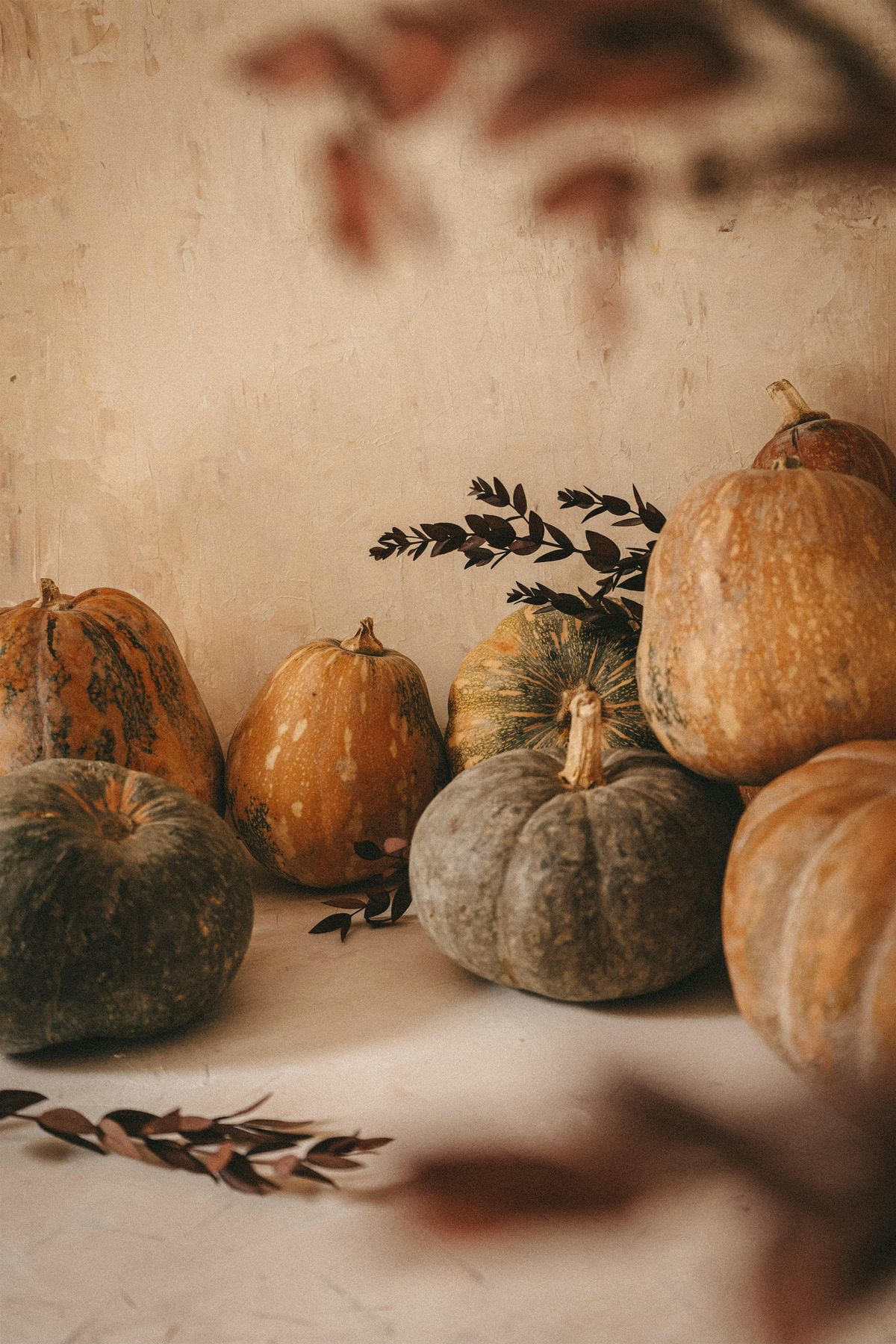 HARVEST TIME Fall Festival