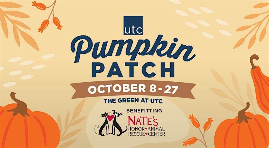 Pumpkin Patch at UTC