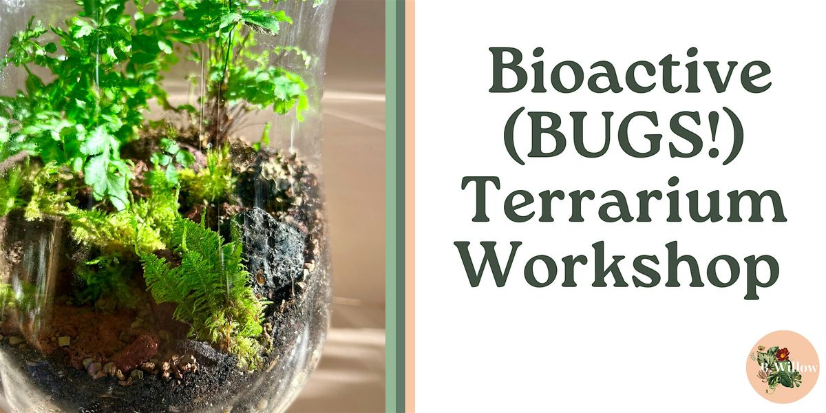 Walk Up Bioactive (BUGS!) Terrarium Workshop