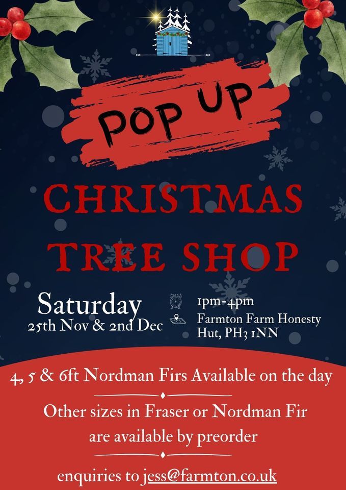 Christmas Tree Pop Up Shop Farmton Farm Honesty Hut, SC