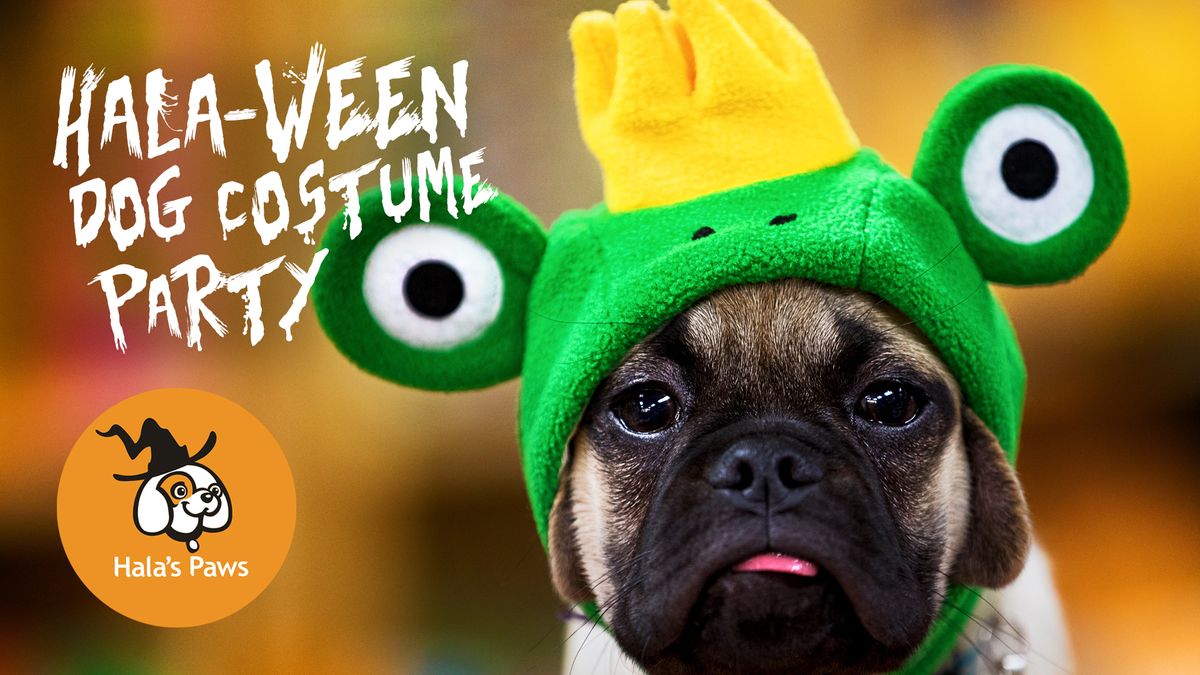 Hala-ween Dog Costume Contest