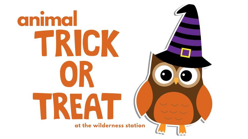 Animal Trick or Treating Wilderness Station at Barfield Crescent Park