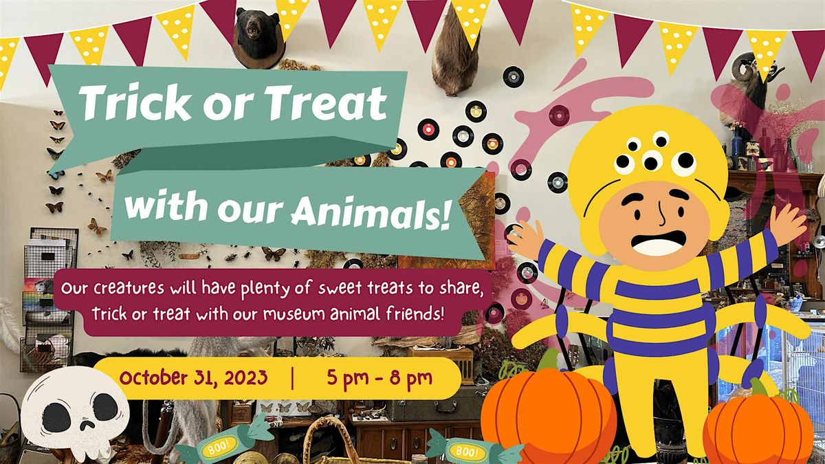 Trick or Treat with Our Animal Friends!