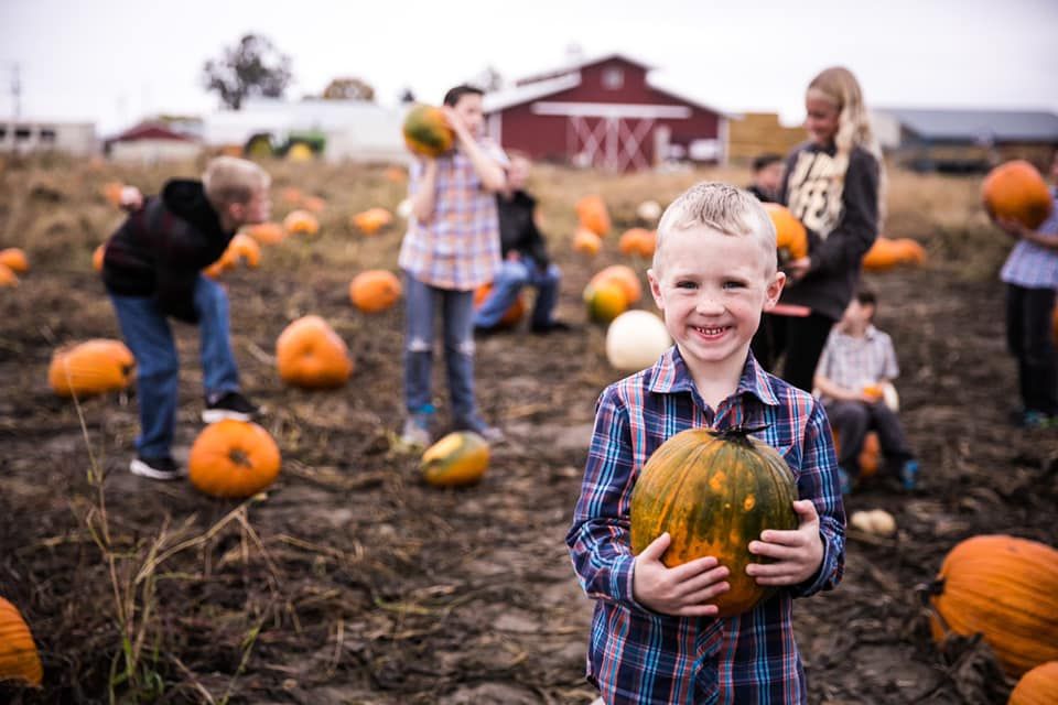 2024 Harvest Festival TriCities 232 Crest Loch Rd, Pasco, WA 99301